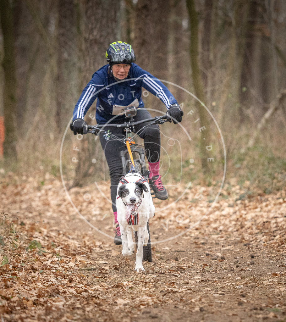 Pfotenfotografie_DV3A5374 | Hundefotografie, Tierfotograf, Pfotenfotografie, Fotoshooting Hund, Hunde Portrait, Hundesport, Hundeportraits, Heideshooting, Hunde, Sportfotograf, Hundefotograf, Turnierhundsport, THS,  - Realisiert mit Pictrs.com