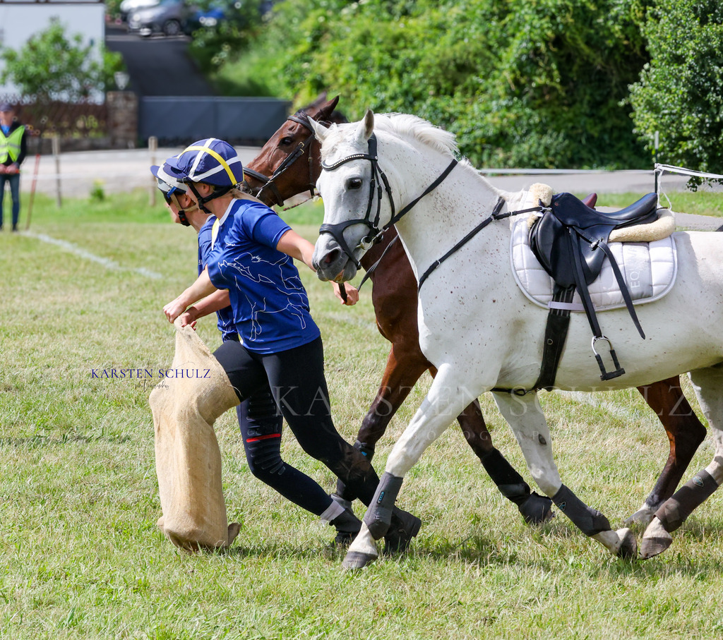 1B3A4716 | Reitsport Reiten