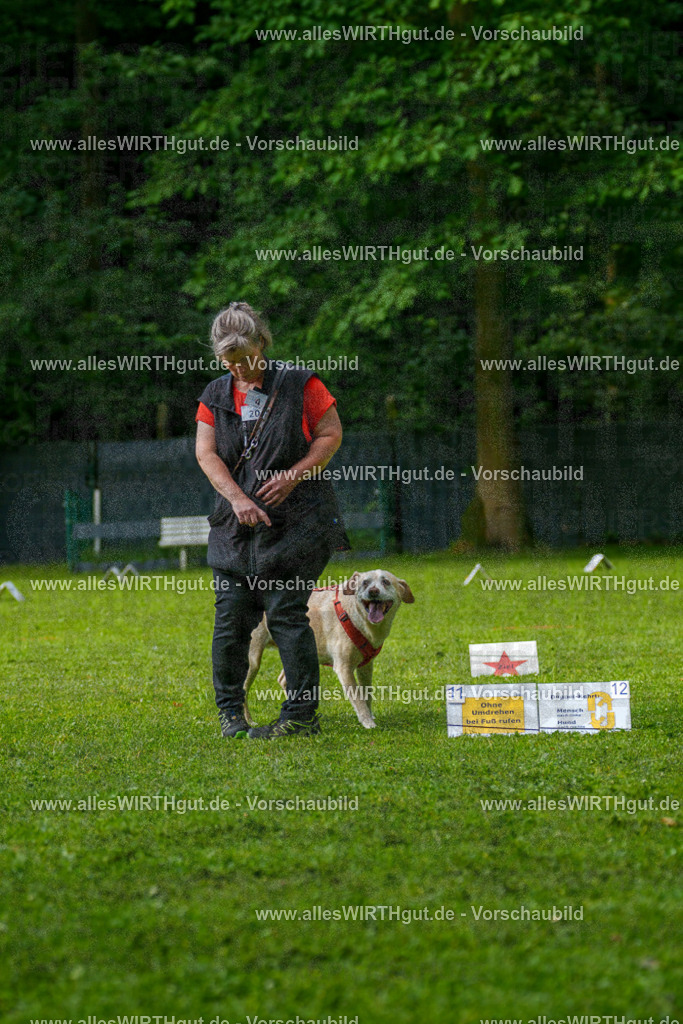 @allesWIRTHgut_Tierfotografie - www.allesWIRTHgut.de - 7R502244 | Professionelle Tierfotografie in Mönchengladbach von Daniel Wirth (allesWIRTHgut). Liebevolle & natürliche Bilder von Hunden & Katzen für unvergessliche Erinnerungen.