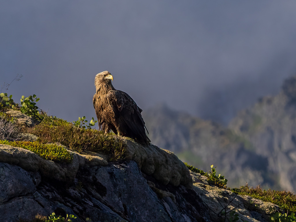 P1001793-Bearbeitet-2022-LR | Natur im Moment - Realisiert mit Pictrs.com