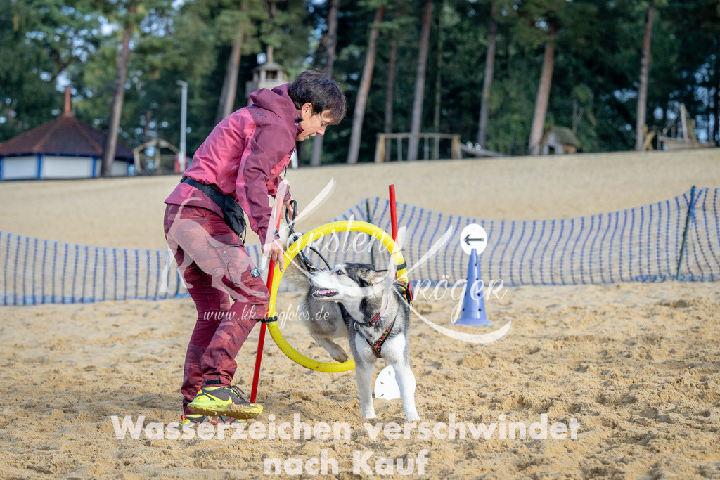 0953_ZZ93021 | kk-dogfotos