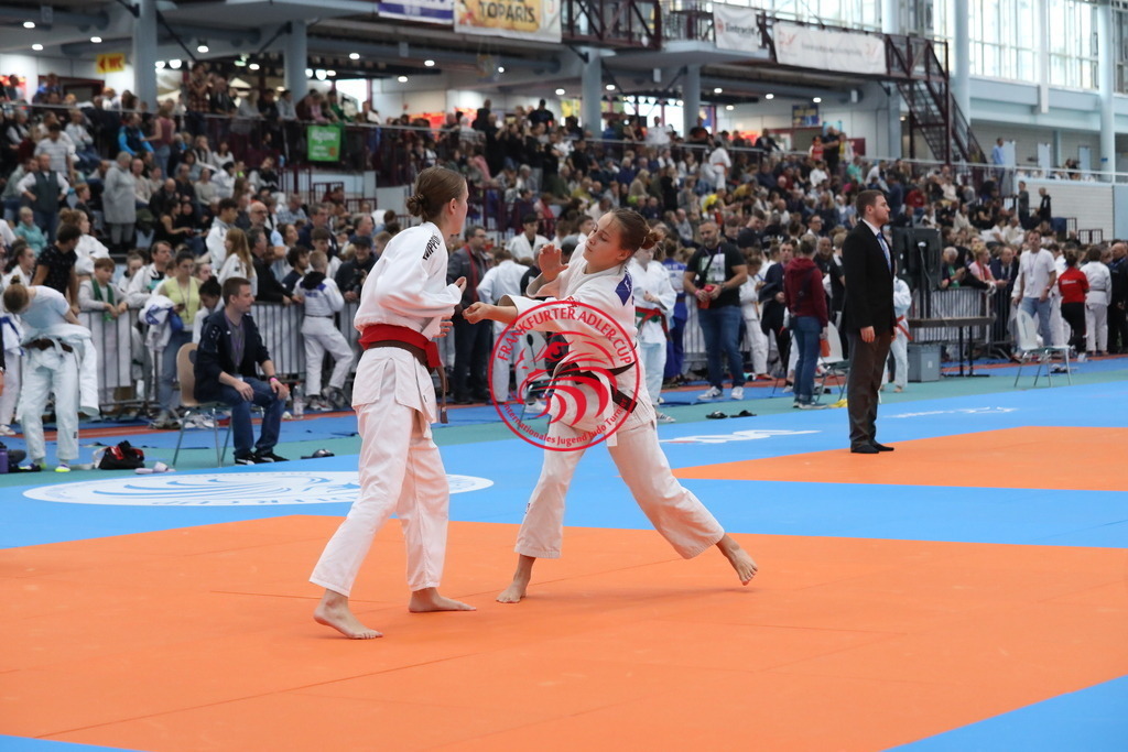 1J7A3324 | Fotos vom Adler Cup - Pictures from Adler Cup

Hier findet Ihr alle Eindrücke und großen Momente der Adler Cup Wochenenden. Here you will find all impressions and great moments of the Adler Cup weekends. - Realisiert mit Pictrs.com