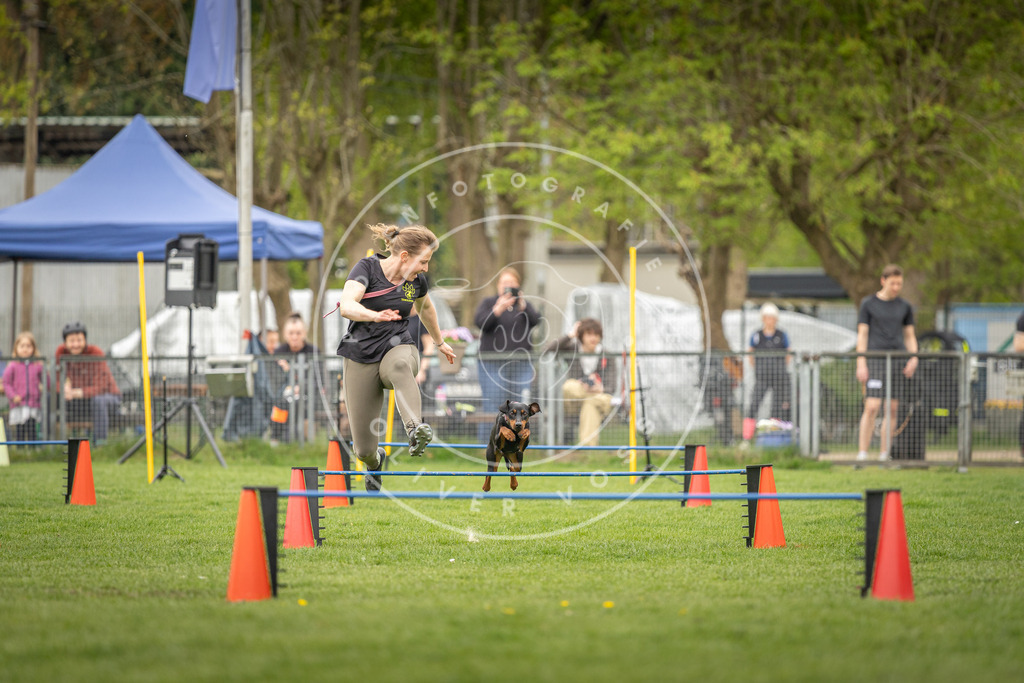 Pfotenfotografie_DV3A0583 | Hundefotografie, Tierfotograf, Pfotenfotografie, Fotoshooting Hund, Hunde Portrait, Hundesport, Hundeportraits, Heideshooting, Hunde, Sportfotograf, Hundefotograf, Turnierhundsport, THS,  - Realisiert mit Pictrs.com