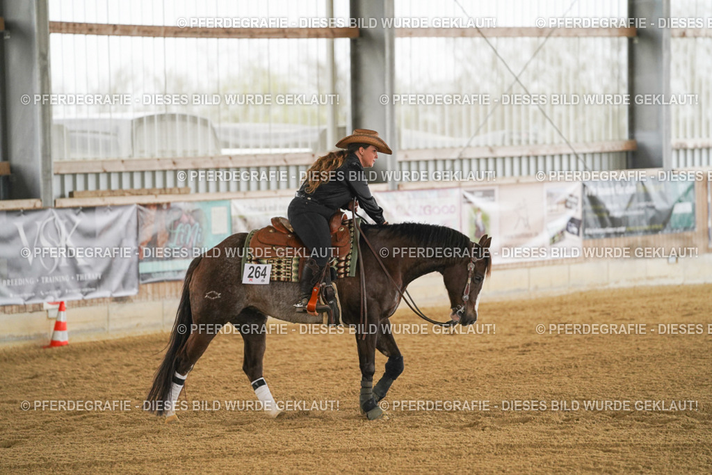 DSC07477 | Pferdegrafie