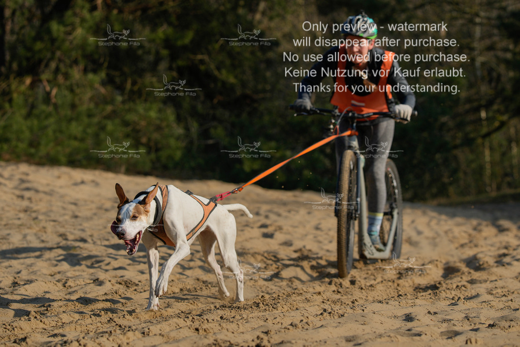 So_Scooter-157 | stephaniefillaphotographie - Realisiert mit Pictrs.com