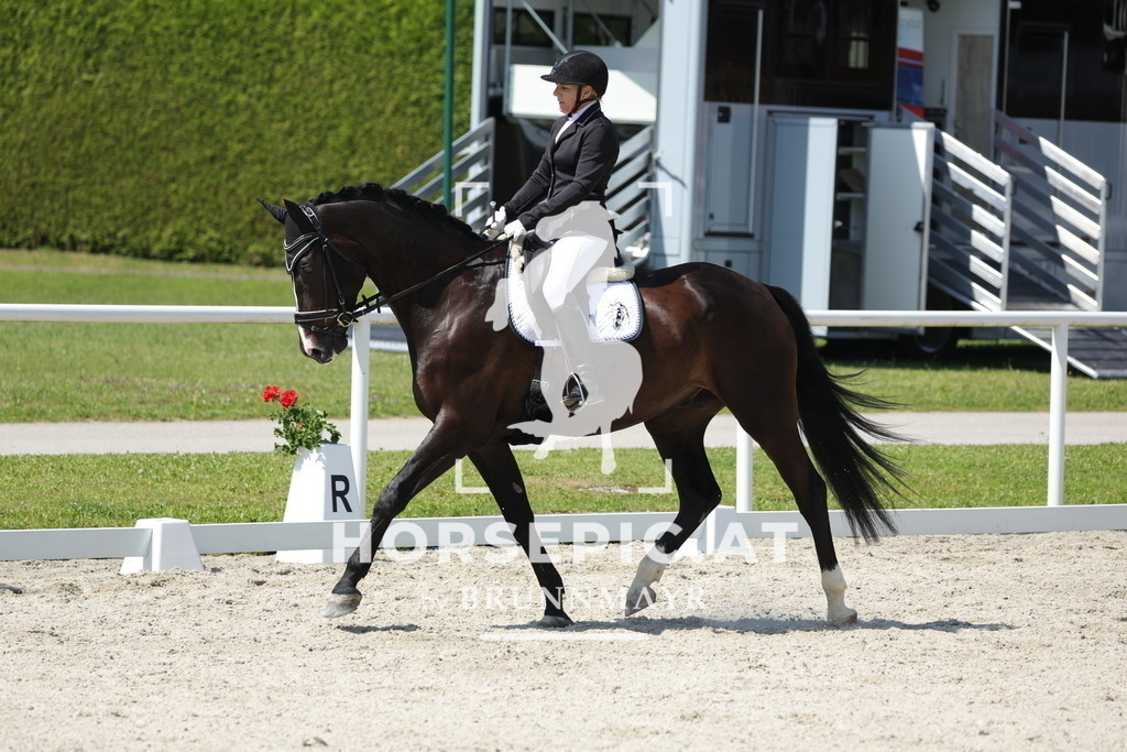 0P6A0826 | Willkommen bei Brunnmayr - Design & Fotografie – Ihrem Spezialisten für Reitturniere und Pferdeveranstaltungen in Oberösterreich, Salzburg und Bayern! Seit über 17 Jahren sind wir leidenschaftlich dabei.