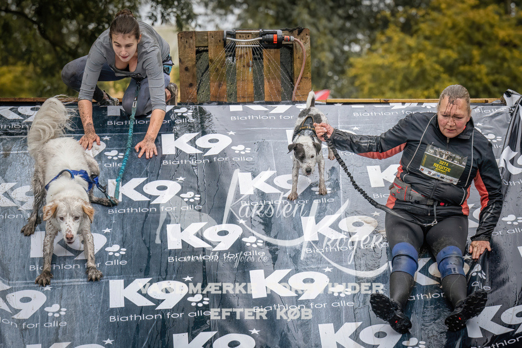 1204_ZZ94280 | kk-dogfotos