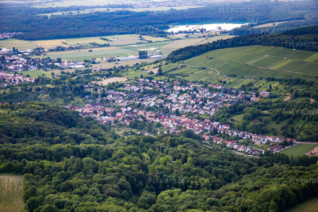 Luftbild: Ortsansicht von Südosten in Weingarten im Bundesland Baden-Württemberg in Deutschland. Foto: IMG_089302.jpg vom 10.06.2016 durch Werner Riehm/FLY-FOTO.de