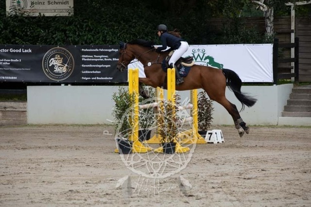 2B4A1541 | pixelfaenger - Realisiert mit Pictrs.com