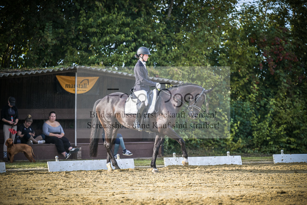 DOS_0848 | Entdecke hochwertige Reitturnierfotos von Foto Oger. Professionell, emotional und authentisch – jetzt Lieblingsmomente im Shop bestellen.Deutschlandweite Turnierfotografie. - Realisiert mit Pictrs.com