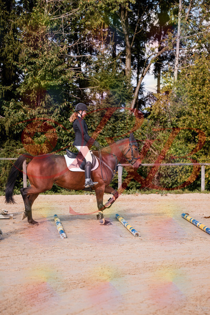 2026_10_03_Siefer-Hof_143436_Z81_02442321 | Professionelle Reitsport-, Turnier- und Eventfotografie von Robert Broda. Galerien mit ausgewählten und bearbeiteten Bildern direkt online ansehen und bestellen.