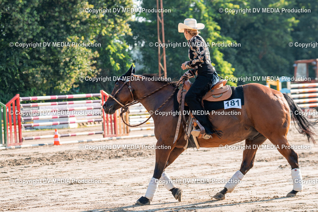 Zeiskam Tag 2-25 | dv-media-shop - Realisiert mit Pictrs.com