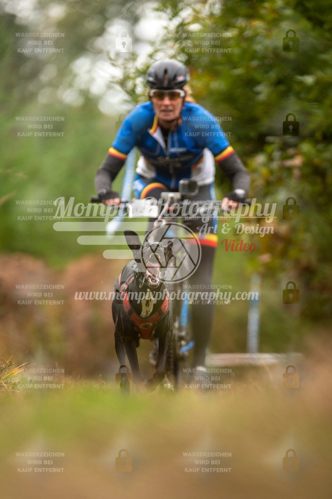 TSB_2023_E5_Bike-53 | PayLife