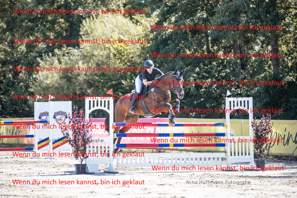 BK1A6863 | Turnierbilder Turnierfotos Nina Hüffmann Turnierfotografie Pferdefotografie Tierzeichnung Haustierzeichnung Pferdezeichnung Hundezeichnung Videograf  - Realisiert mit Pictrs.com