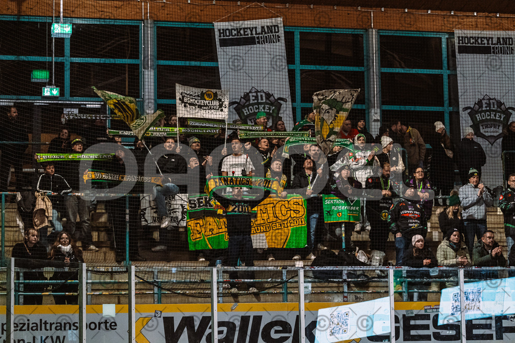 Erding_vs_Alligators_02_01_2026-94 | Höchstadt Alligators Fotogalerie: Eishockey-Action aus Franken. Professionelle Spielfotos, Portraits & Stadionbilder zum Download. Jetzt entdecken! - Realisiert mit Pictrs.com