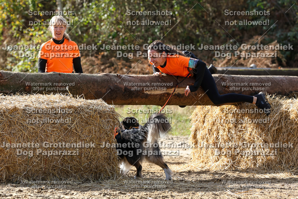 Dog Paparazzi - Strongdog 10-25-5922 | Dog Paparazzi Jeanette Grottendiek Fotografie & Videografie - Realisiert mit Pictrs.com