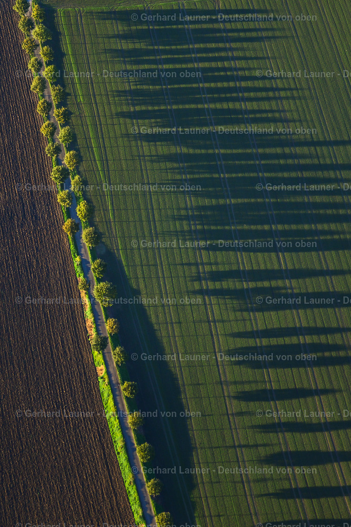 3491230 | Baumallee am Kemnader See, Witten