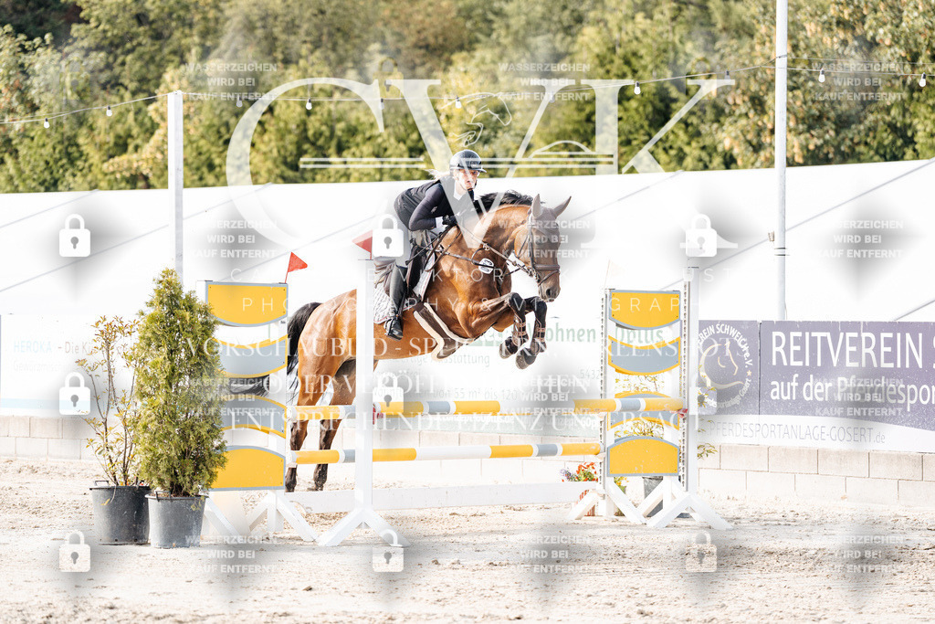 CK906751 | Turnierfotografie Pferdefotografie Trier Rheinland-Pfalz Pferdesport Reitsport Tierfotografie Sportfotografie Pferdevideo Pferdevideografie Equestrianvideography equestrianphotography  - Realisiert mit Pictrs.com
