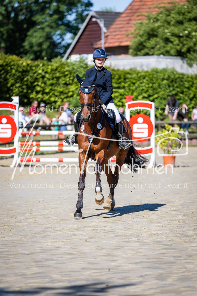 Donop24-A2Spr-025 | MomenTaufnahmen Pferdesportfotos