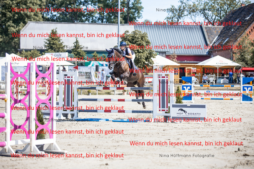 BK1A6859 | Turnierbilder Turnierfotos Nina Hüffmann Turnierfotografie Pferdefotografie Tierzeichnung Haustierzeichnung Pferdezeichnung Hundezeichnung Videograf  - Realisiert mit Pictrs.com