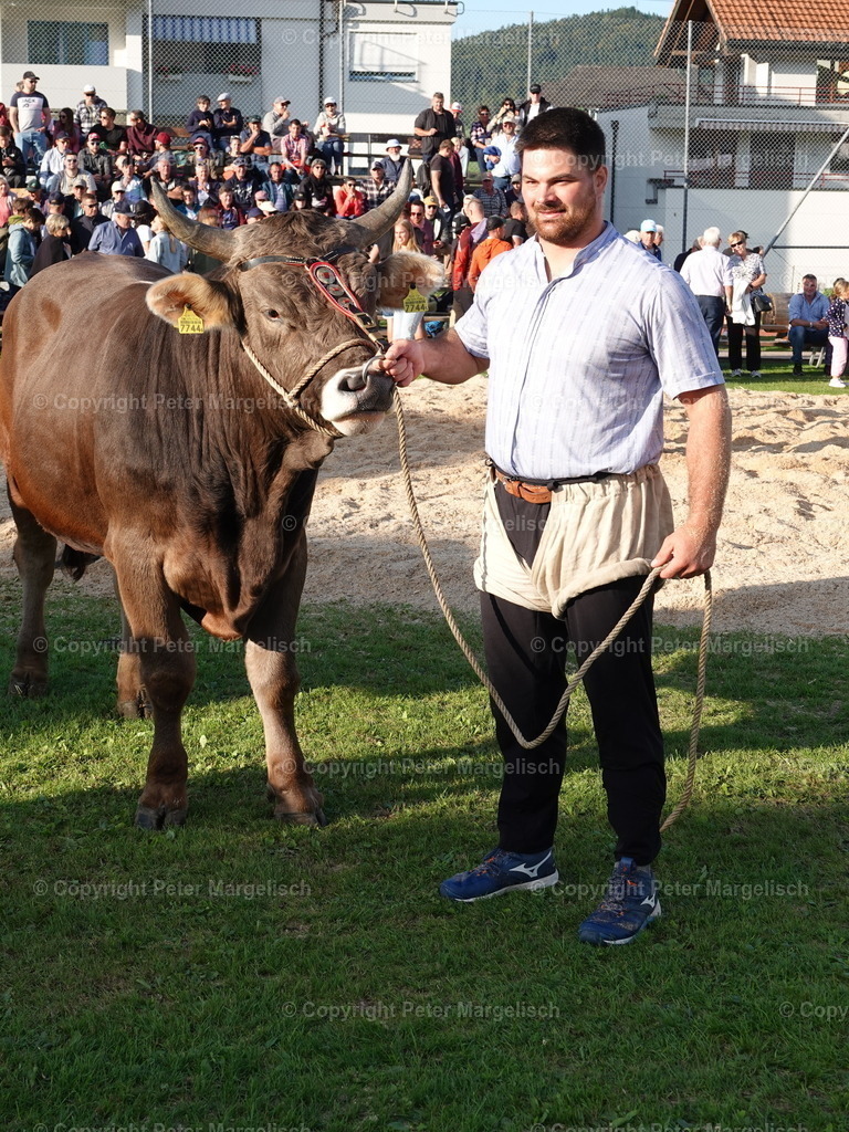 DSC05691 | Schwingen - Realisiert mit Pictrs.com