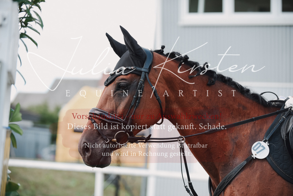 DSC_5648 | Pferde- und Turnierfotografie in Westsachsen. Pferdeportraits, Auftragszeichnungen und intuitive Kunst.