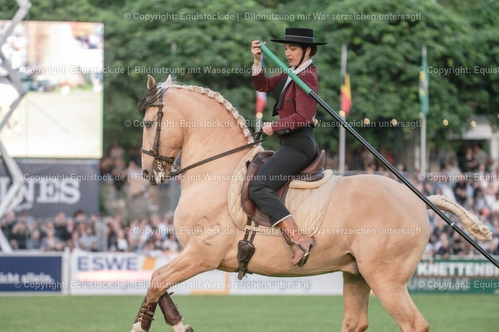 20230526_Pferdenacht_0721 | equistock