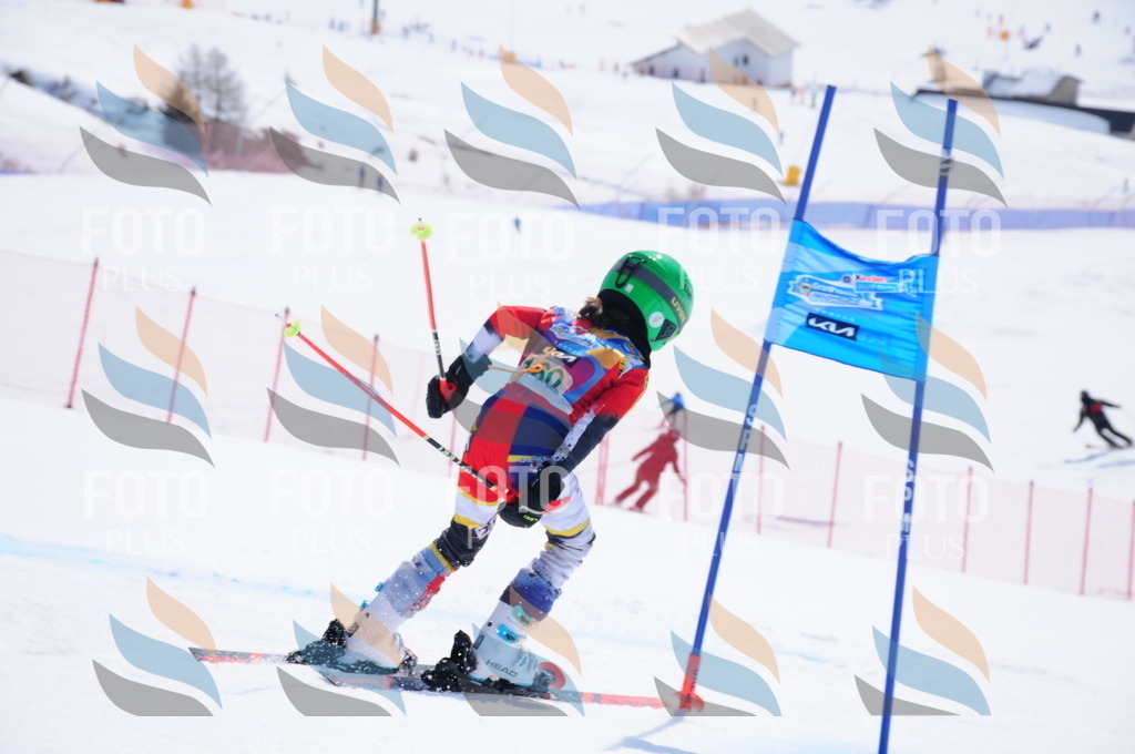 DSC_1399 | holidayphoto