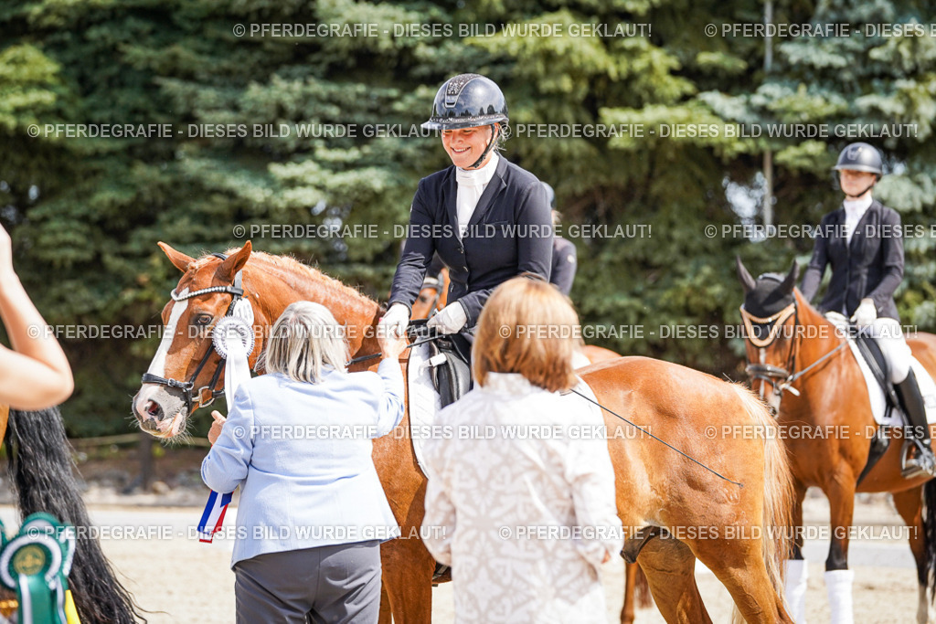 DSC02238 | Pferdegrafie