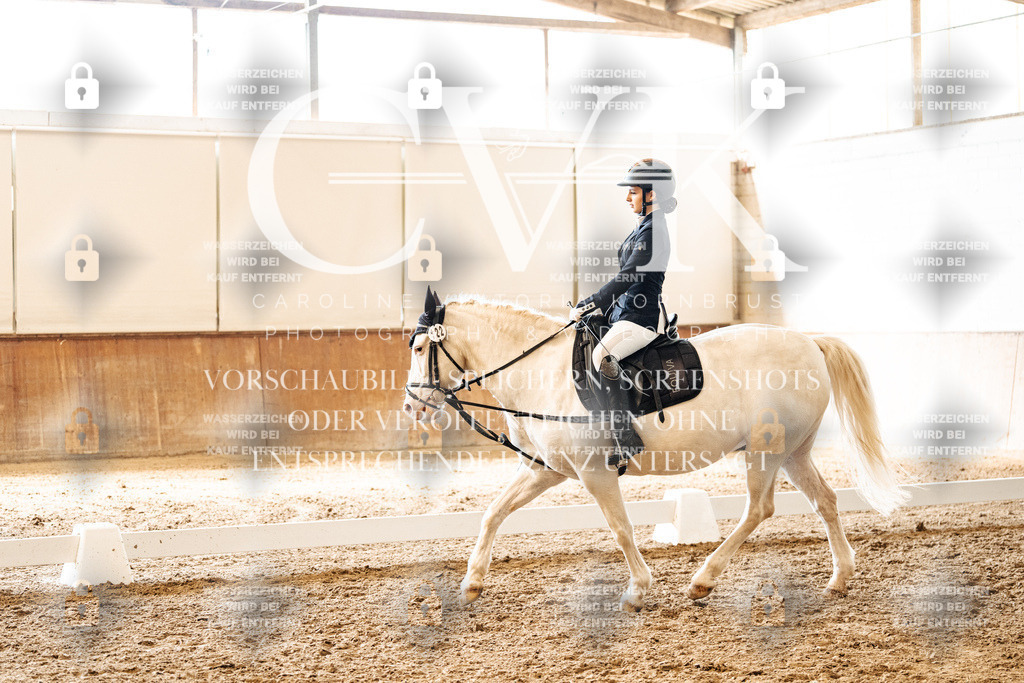 CK900129 | Turnierfotografie Pferdefotografie Trier Rheinland-Pfalz Pferdesport Reitsport Tierfotografie Sportfotografie Pferdevideo Pferdevideografie Equestrianvideography equestrianphotography  - Realisiert mit Pictrs.com