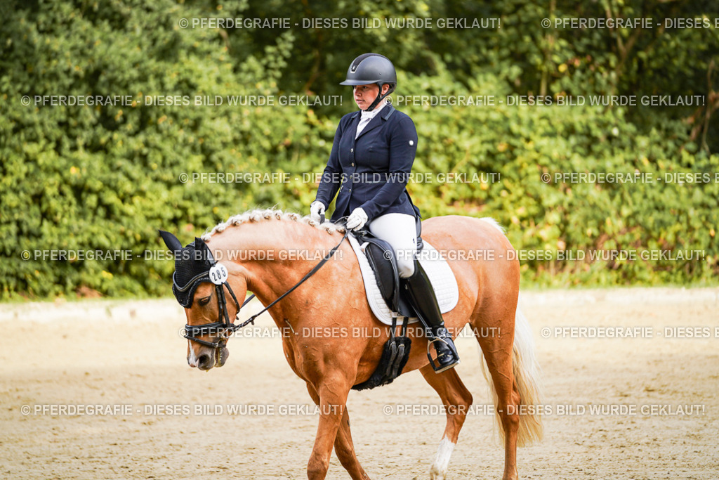 DSC09350 | Pferdegrafie