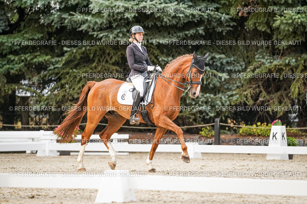 DSC09274 | Pferdegrafie