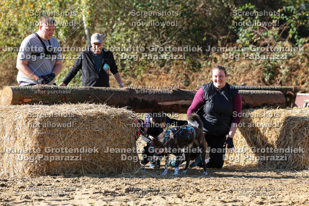 Dog Paparazzi - Strongdog 10-25-2839 | Dog Paparazzi Jeanette Grottendiek Fotografie & Videografie - Realisiert mit Pictrs.com