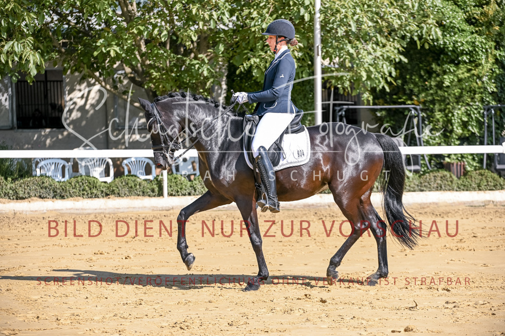 Schugtsche-Aluta25-52.Dressurprf.M2Kand-329 | Schugtsche Fotografie - Realisiert mit Pictrs.com