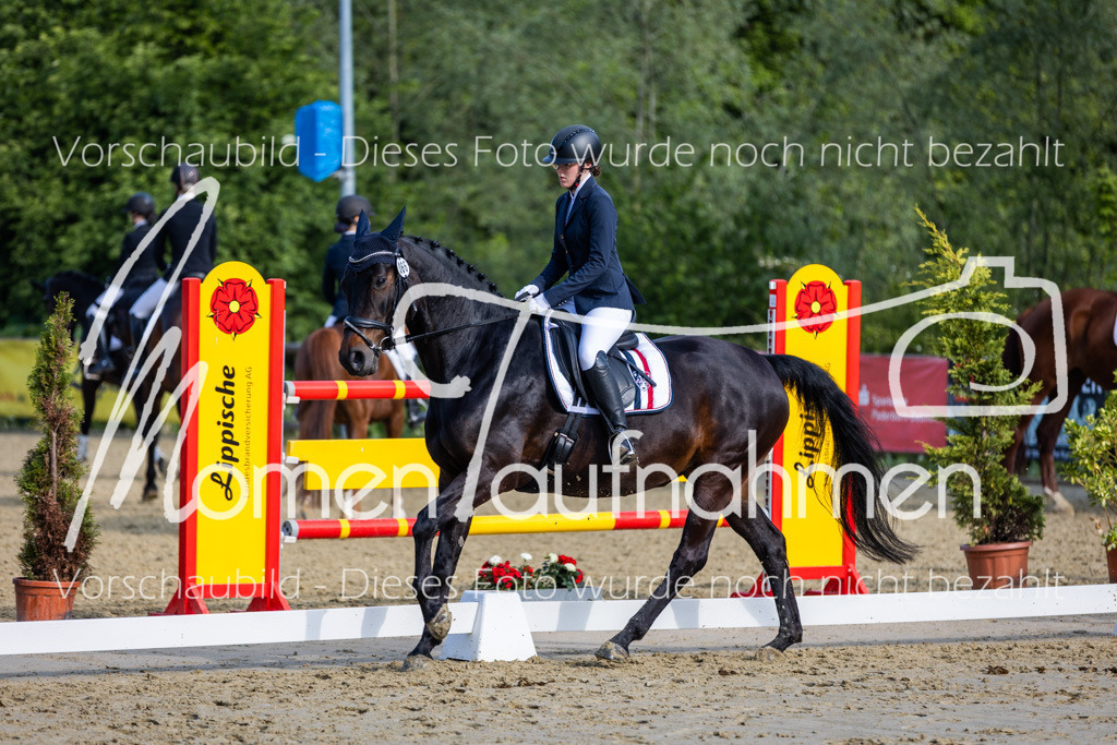 Donop24-A-Dre-065 | MomenTaufnahmen Pferdesportfotos