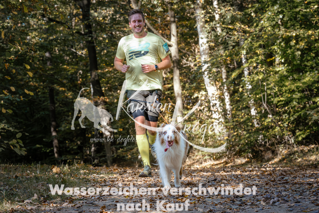 1231_ZZ95476 | kk-dogfotos