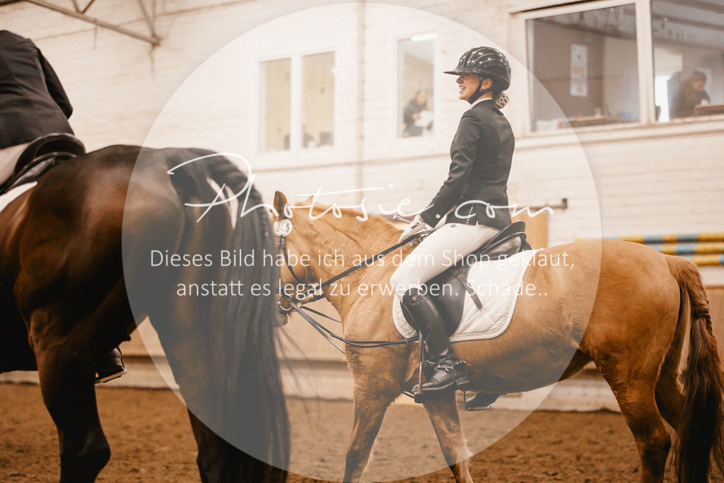 3I6A6202 | Stimmungsvolle Portraits und Reitsportfotografie im Ruhrgebiet und im Münsterland.

Pferdefotografie, Hundefotografie, Tierfotografie, Reportagen, Portraits von Tier und Mensch, Turnierfotografie in Bochum, Recklinghausen, Marl, Haltern am See, Dülmen.. - Realisiert mit Pictrs.com