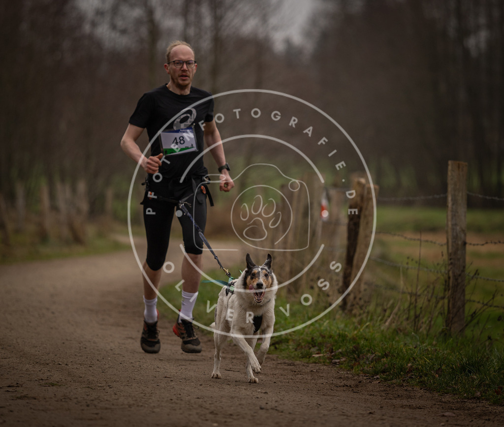 Pfotenfotografie_DV3A2757 | Hundefotografie, Tierfotograf, Pfotenfotografie, Fotoshooting Hund, Hunde Portrait, Hundesport, Hundeportraits, Heideshooting, Hunde, Sportfotograf, Hundefotograf, Turnierhundsport, THS,  - Realisiert mit Pictrs.com