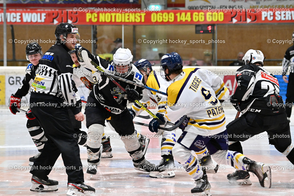 EC Tigers Paternion vs. Tarco Wölfe II | EICHER Herbert Referee, #9 Gratzer Julian EC Tigers Paternion, #4 Halbrainer Paul Tarco Wölfe II, EC Tigers Paternion vs. Tarco Wölfe II, EC Tigers Paternion vs. Tarco Wölfe II am 19.12.2024 in Spittal an der Drau (Eissportzentrum Spittal), Austria, (Photo by Bernd Stefan)