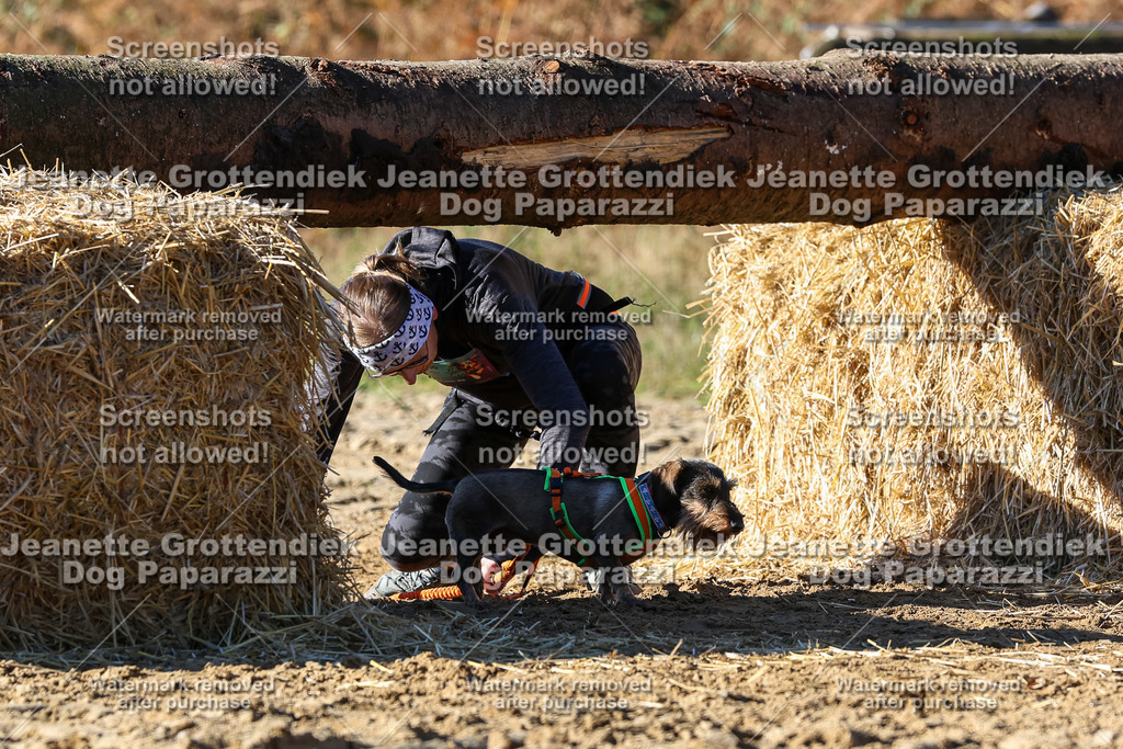 Dog Paparazzi - Strongdog 10-25-2551 | Dog Paparazzi Jeanette Grottendiek Fotografie & Videografie - Realisiert mit Pictrs.com