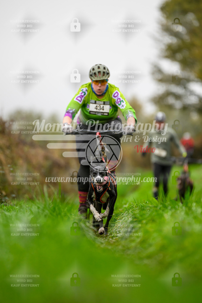 MompixPhotography_20TSB_E8_Bike-137 | PayLife