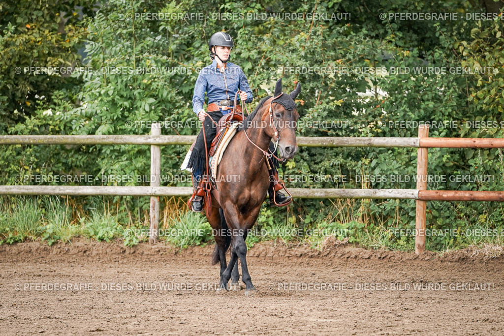 DSC05963 | Pferdegrafie