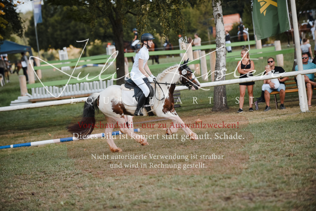 DSC_5371 | Pferde- und Turnierfotografie in Westsachsen. Pferdeportraits, Auftragszeichnungen und intuitive Kunst.