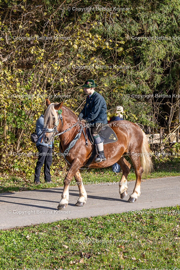 LBT24-22 | foto-bettina-krinner - Realisiert mit Pictrs.com