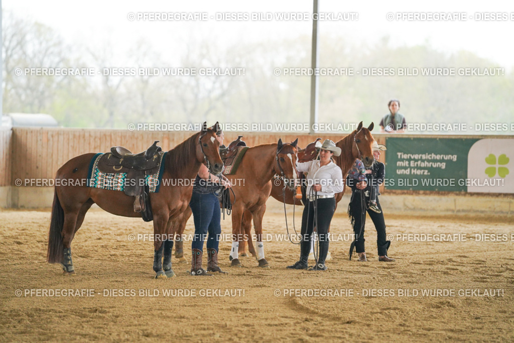 DSC08345 | Pferdegrafie