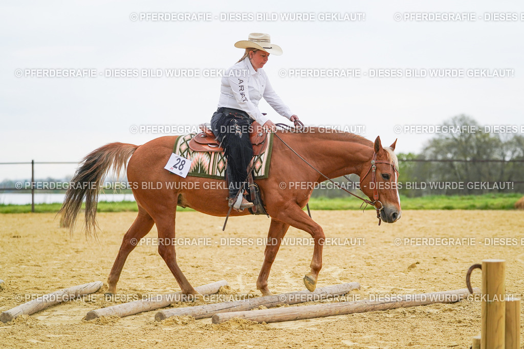 DSC08122 | Pferdegrafie