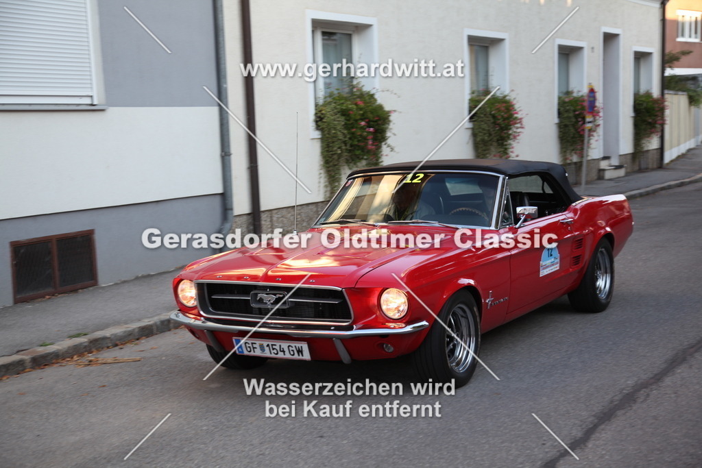 IMG_3800 | Gerhard Witt