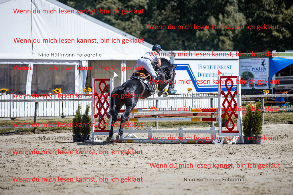 BK1A5338 | Turnierbilder Turnierfotos Nina Hüffmann Turnierfotografie Pferdefotografie Tierzeichnung Haustierzeichnung Pferdezeichnung Hundezeichnung Videograf  - Realisiert mit Pictrs.com