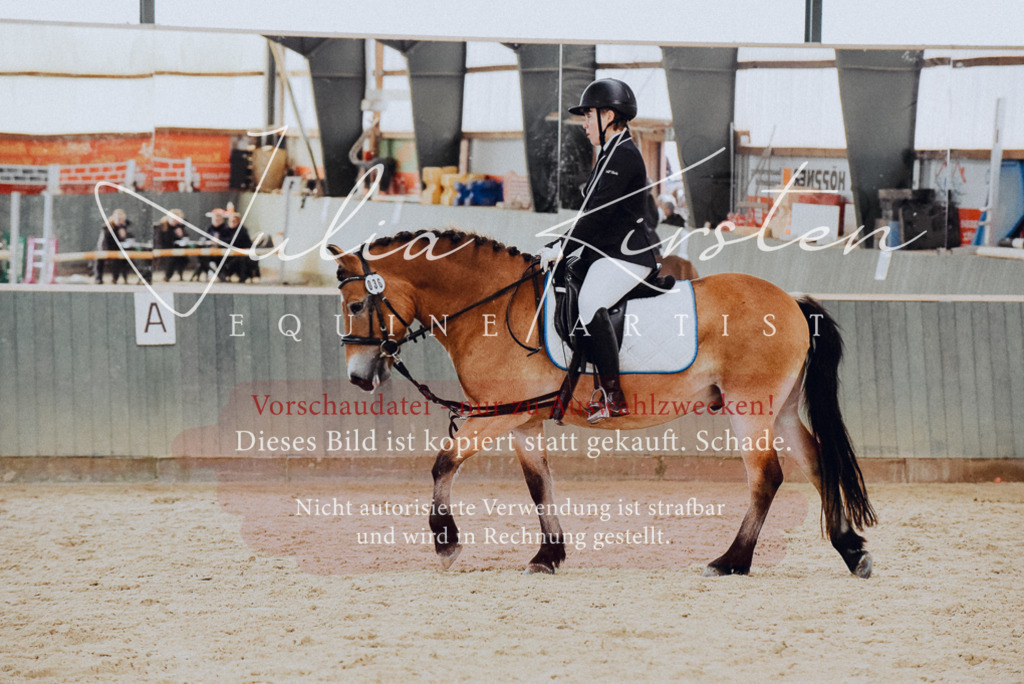 DSC_7284 | Pferde- und Turnierfotografie in Westsachsen. Pferdeportraits, Auftragszeichnungen und intuitive Kunst.