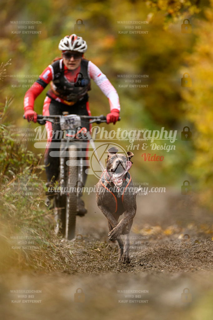 MompixPhotography_ICF_WC_2024_SA_Bike_-79 | PayLife